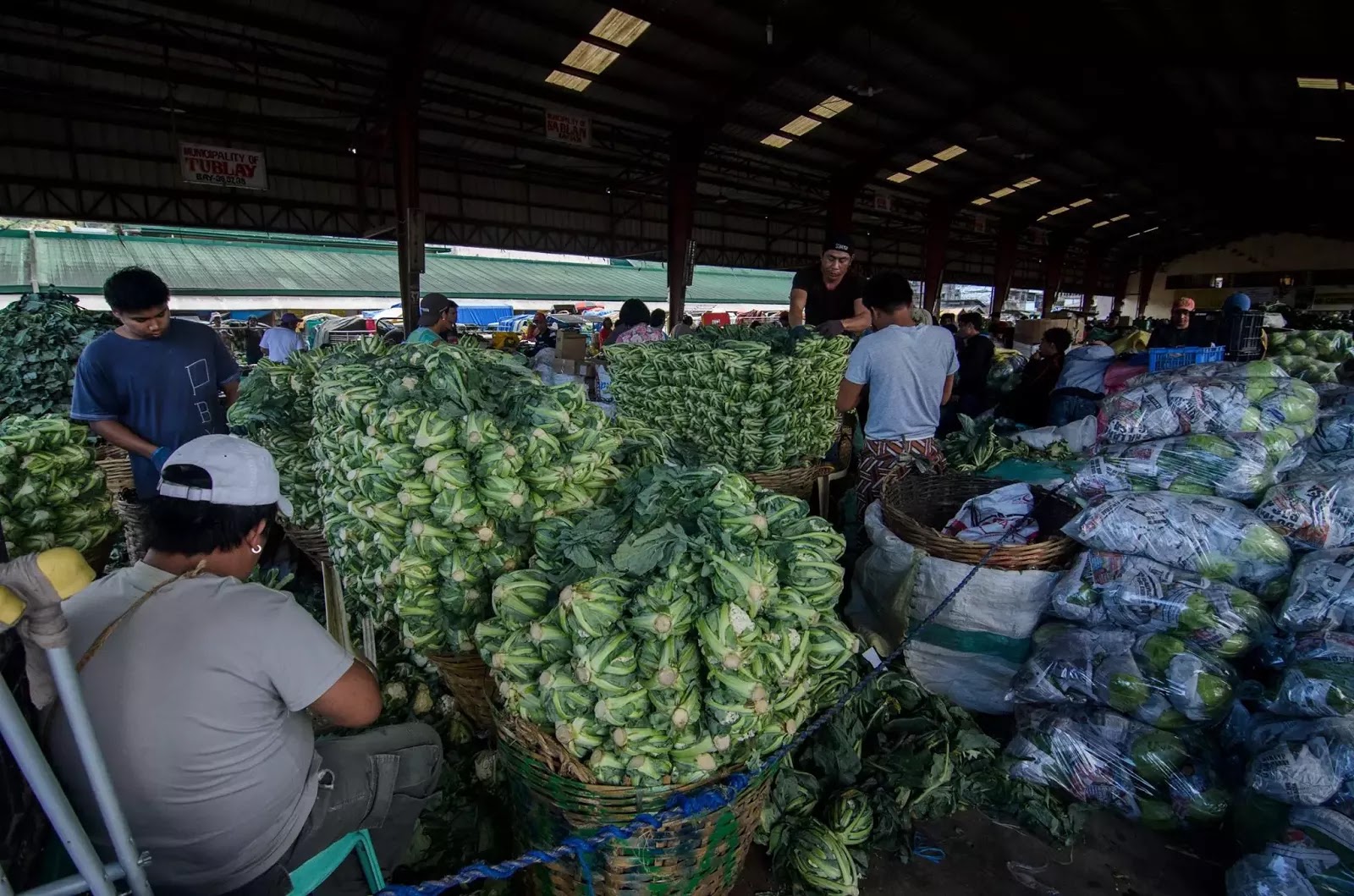 Vegetable Porters La Trinidad Benguet & Baguio City AvianQuests