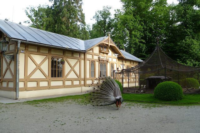 Mini zoo w Kromieryż