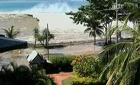 Dissertation on tsunami in thailand