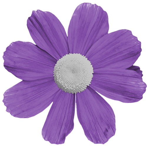 My Image 47