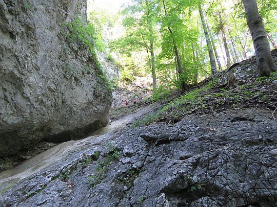 Sokolia dolina