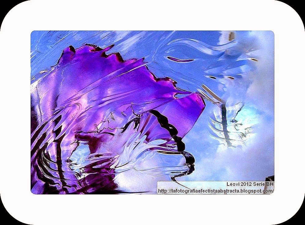 Abstract Photo 3170 The wind of my soul (Tribute to Cat Stevens, an Underrated Treasure) Abstract Photo 3170 The wind of my soul (Tribute to Cat Stevens, an Underrated Treasure)