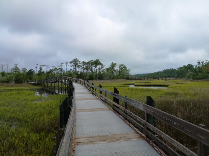 North Carolina Hikes Cedar Point Tideland Trail (Croatan National Forest)