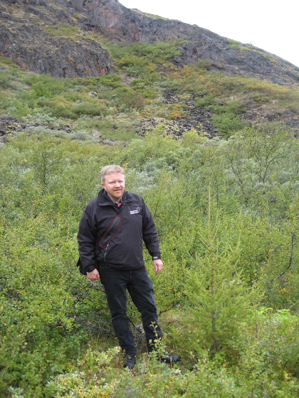 Christopher Moore's History News History of the Forests of Greenland