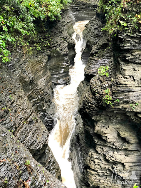 Just south of Seneca Lake, you will find Watkins Glen State Park. Perhaps the most famous of the state parks in the Finger Lakes region of New York, Watkins Glen is a waterfall chaser's paradise.