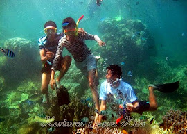 snorkeling pulau kecil snorkeling pulau kecil karimun jawa