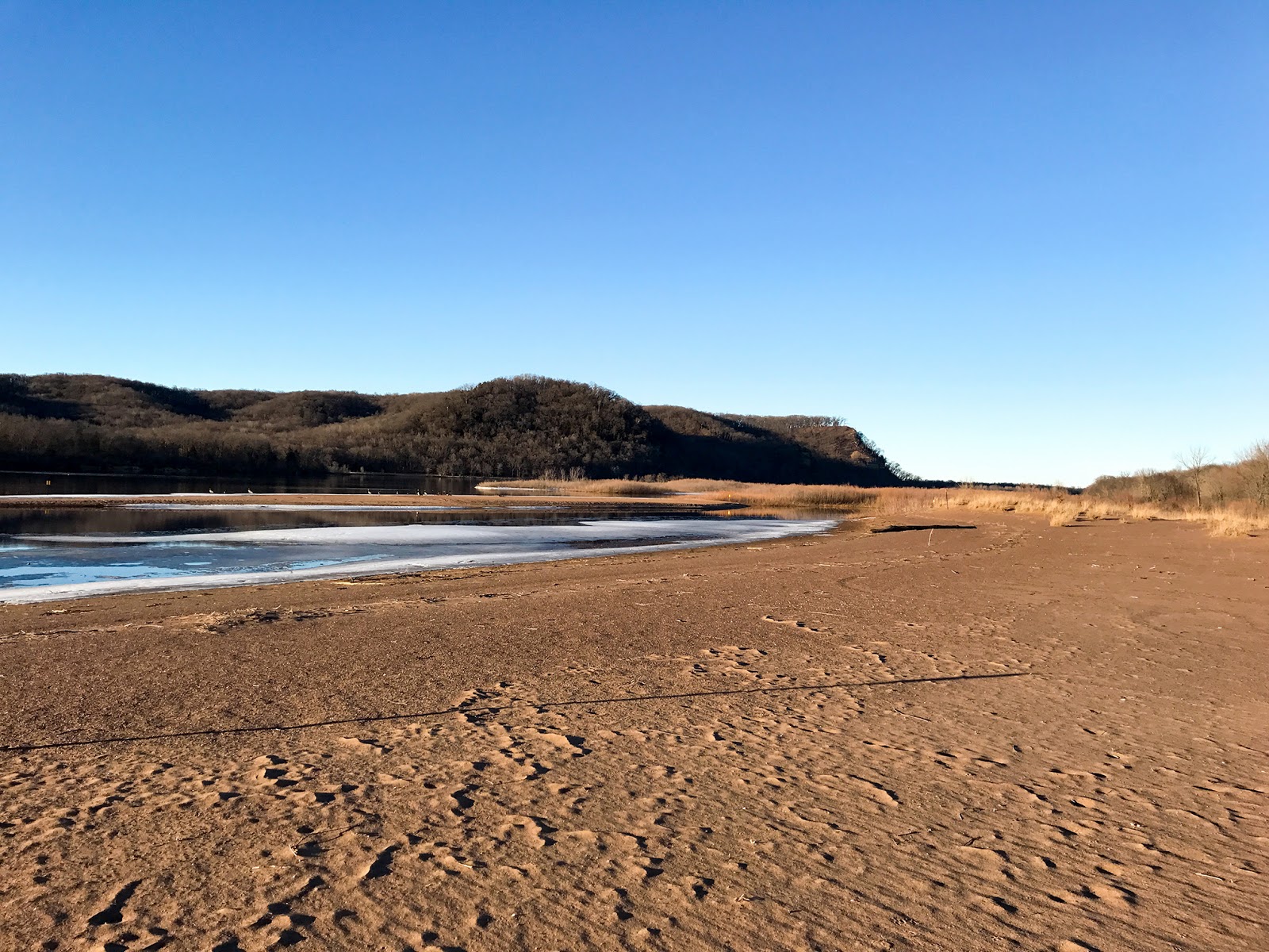 SPEED OF A PLANT February 2017