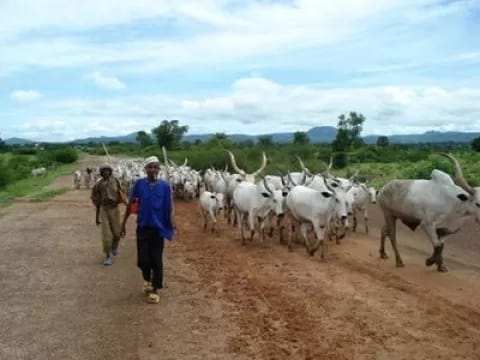 fulani latest attacks in benue delta state
