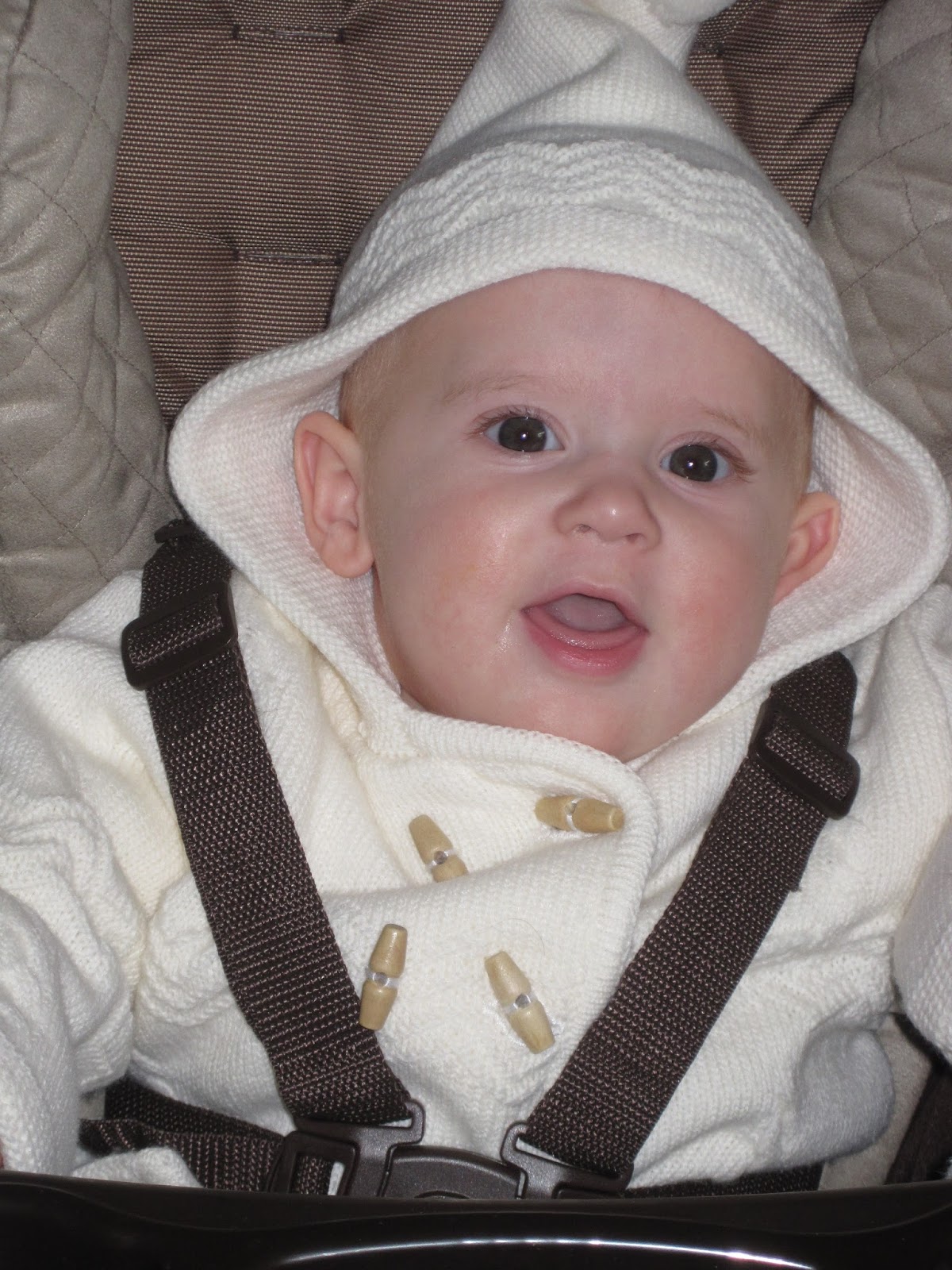 Fast Mapping: The Science Of How Children Learn Words So Quickly - ah26thl