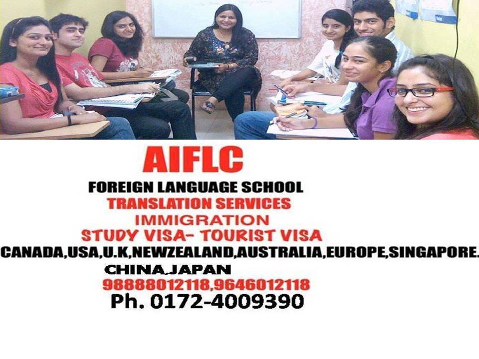 study visa,tourist visa,immigration,foreign language classes,Translation services in Delhi -Punjab 