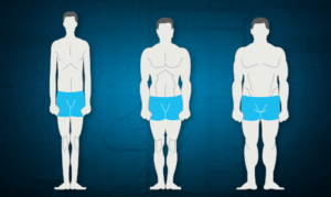Body parts