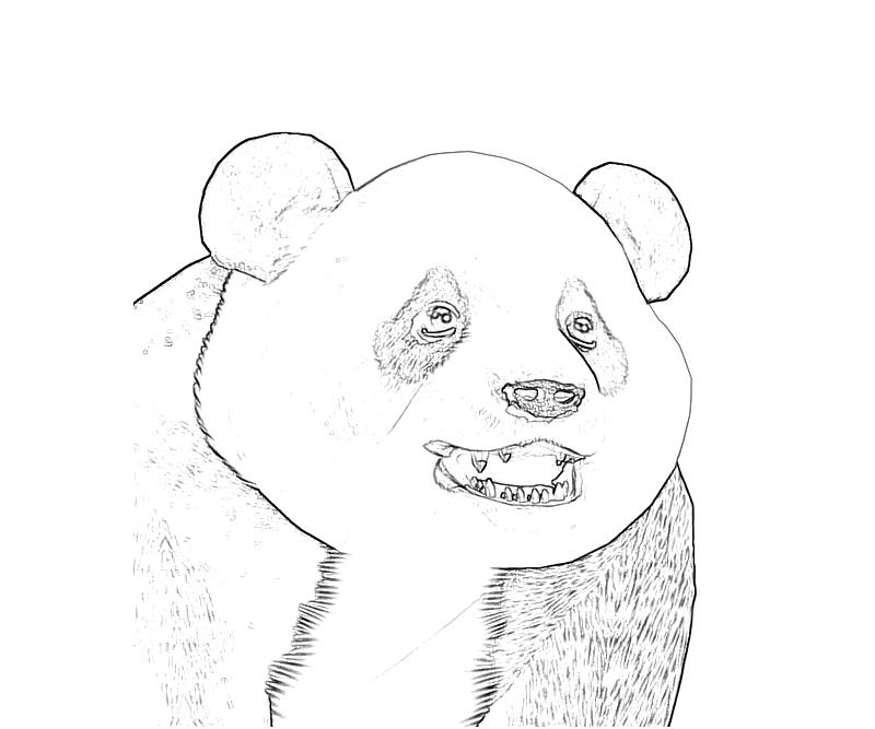 panda face coloring pages - photo #12