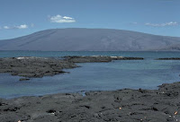 Volcan Darwin Shield Volcano on Isabela, Galapagos Islands