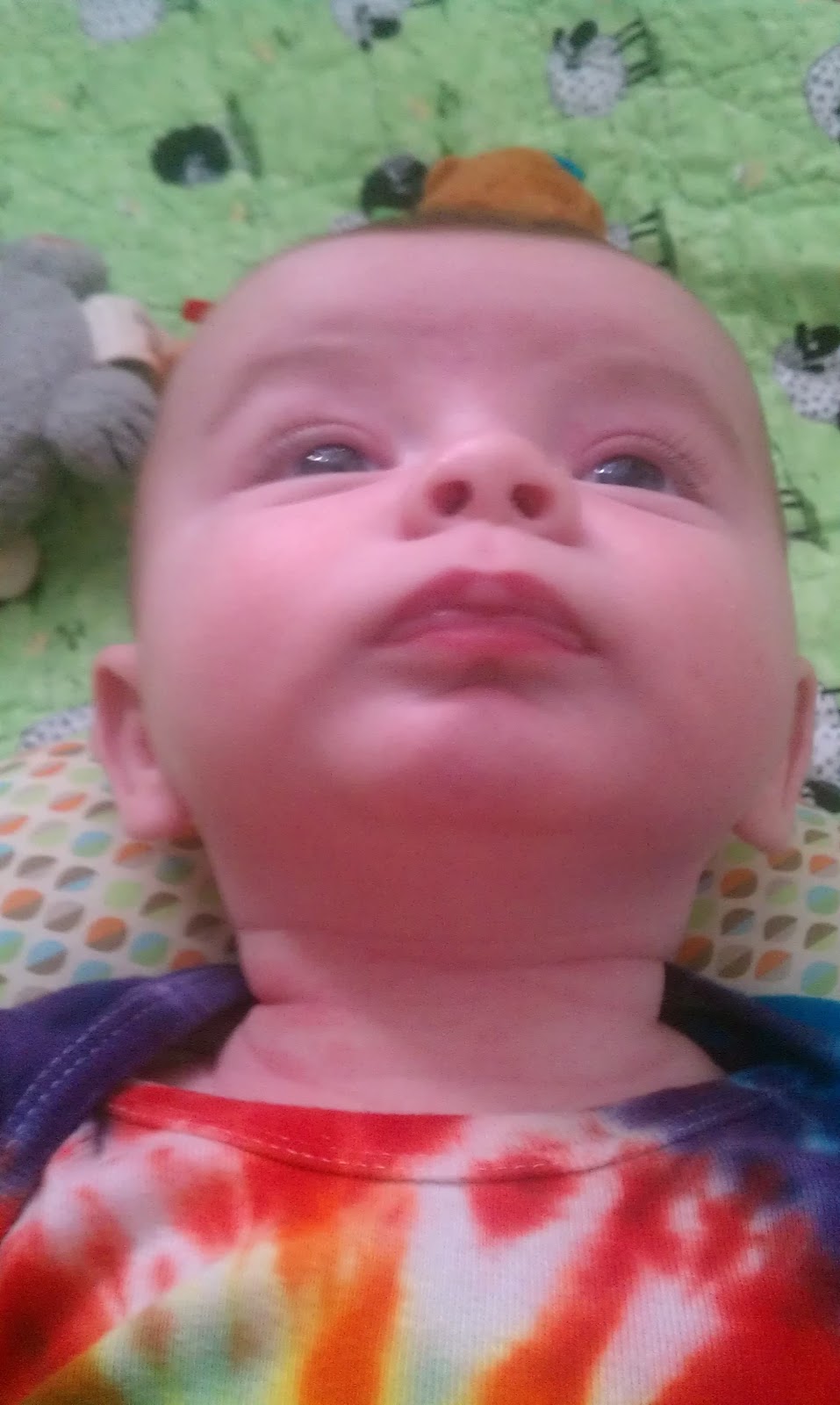 Boginka's Basket Taking care of 'diaper rash'