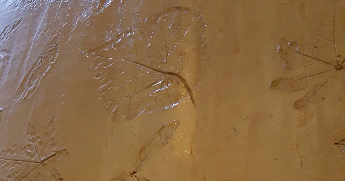 My Photos Track Markings