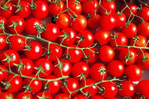 Do tomate cereja beneficio