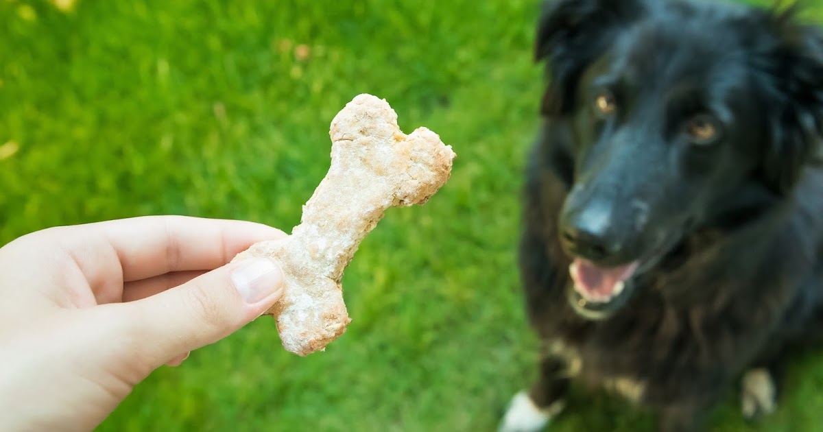 Der Postillon Hund richtet Menschen darauf ab, ihm jedes Mal ein