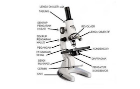 Domain Biologi 14 Part Section Of Microscope And Its Function Image Domain Biologi 14 Part Section Of Microscope And Its Function Image
