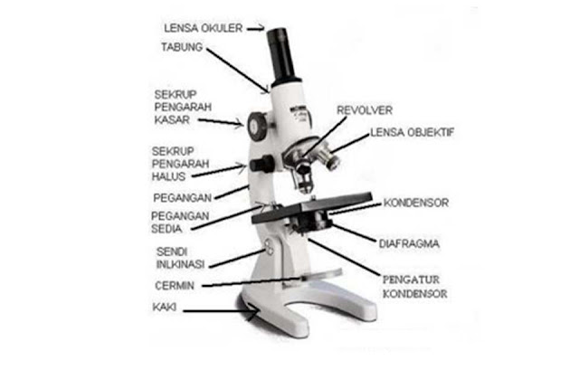 Gambar Mikroskop (Pengertian, 14 Bagian dan Fungsinya, Gambar)