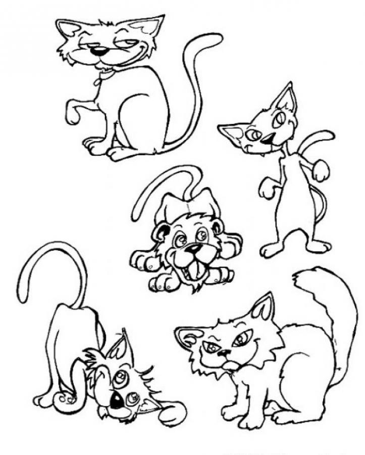 5 кошек раскраска. Кошки. Раскраска. Раскраска. Котики. Картинки для раскрашивания кошки. Раскраски котики и собачки.