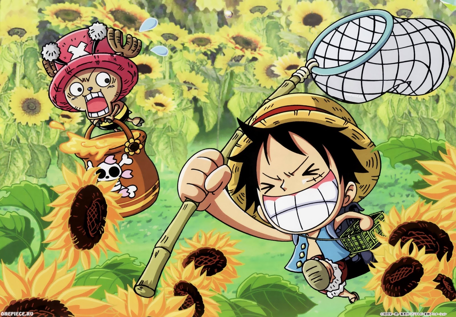 One Piece Luffy Wallpaper Free Anime Re-Upload