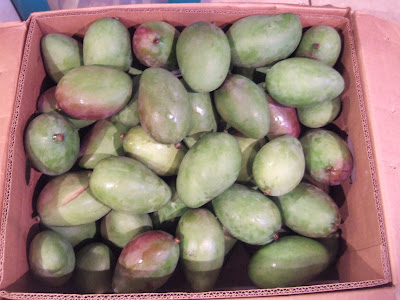 Green mangoes