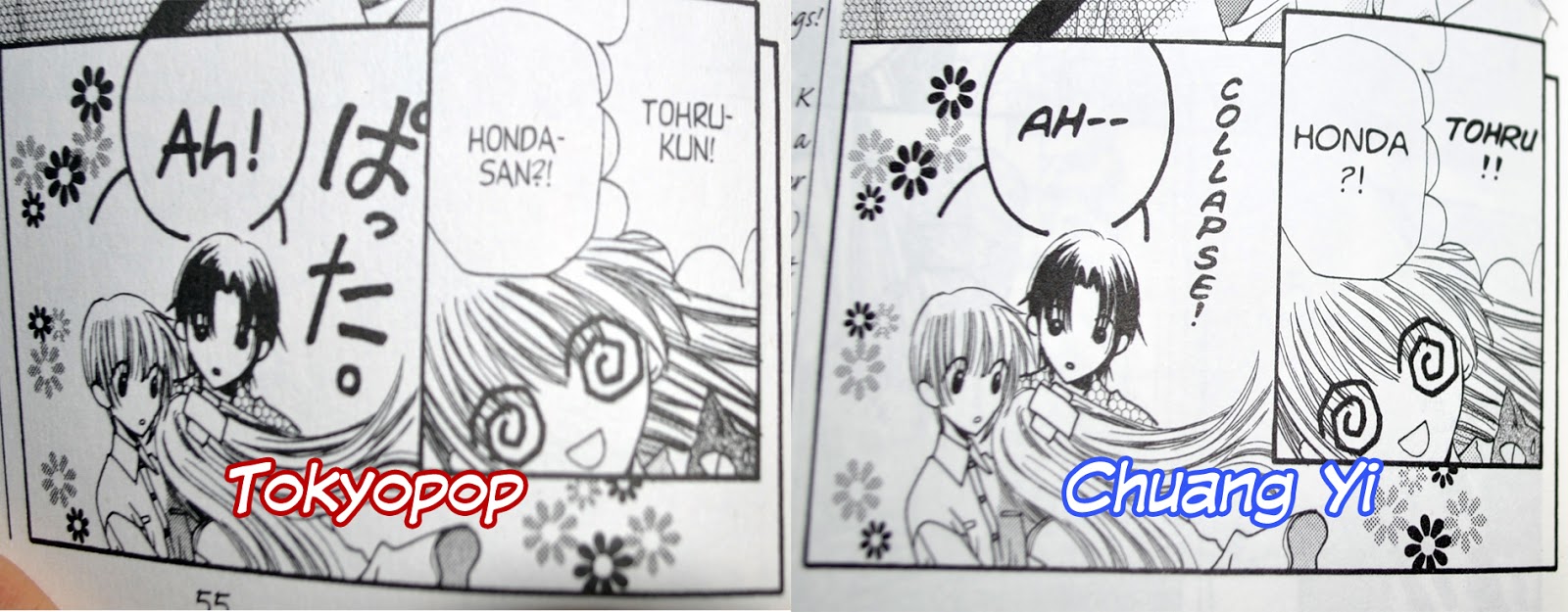 SnowWolf's Howlings English Manga, Another Story Fruits Basket Volume