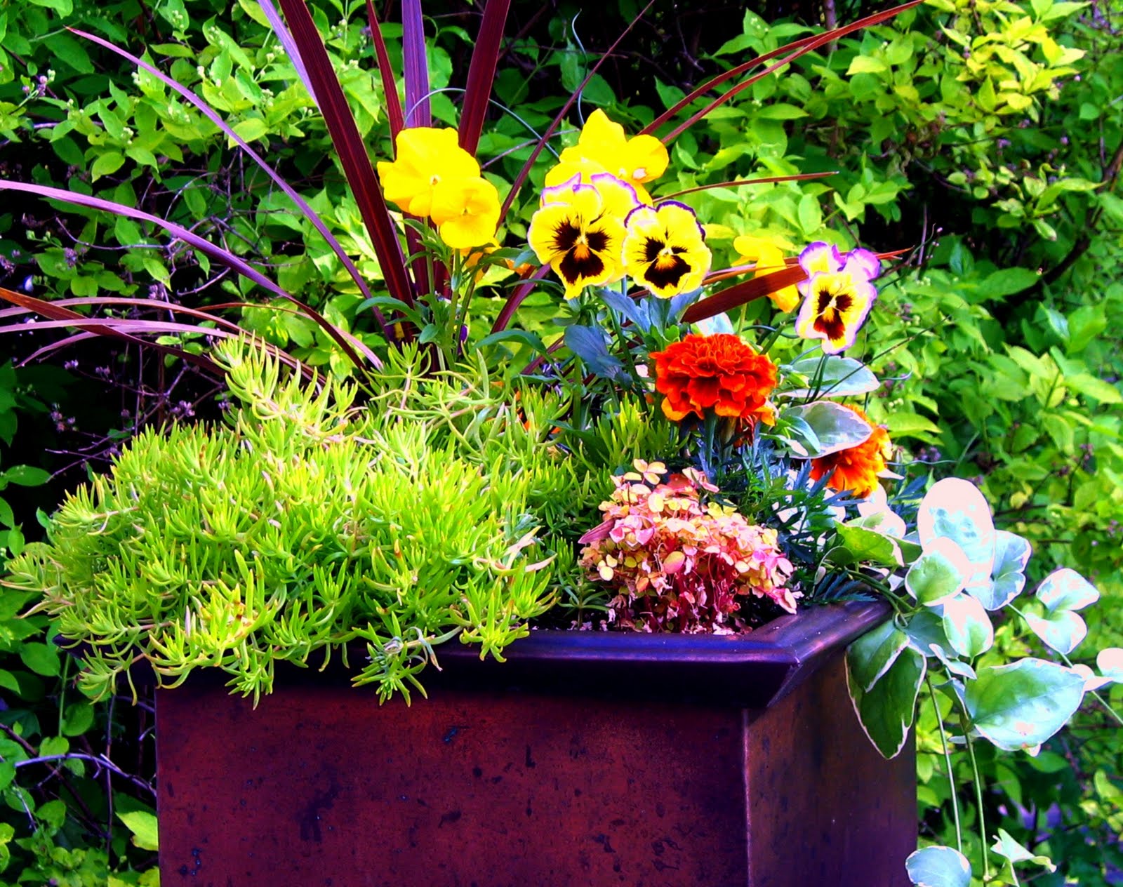Brenda J. Carrasquillo Flowers Near Duluth Mn / Local Florist, Flower