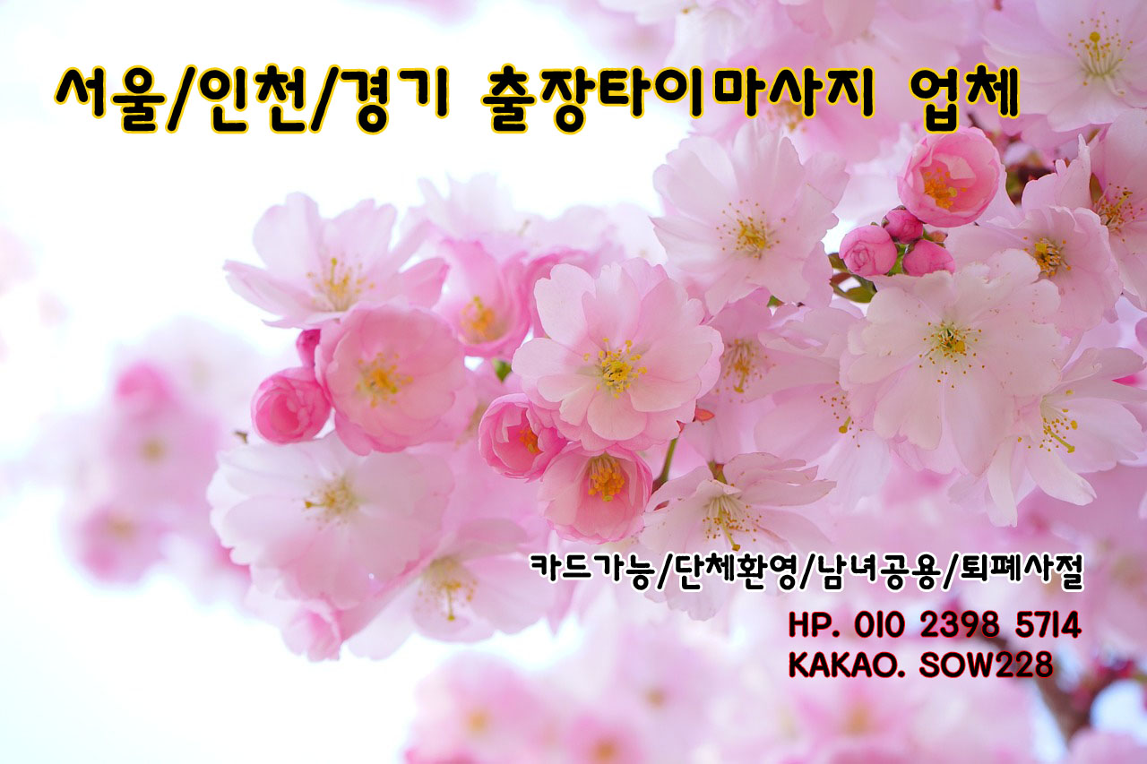 안양 출장타이마사지 그외 서울전지역 가능! 클릭클릭 안양 출장타이마사지 그외 서울전지역 가능! 클릭클릭