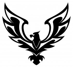 Image Result For Red Hawk Image Result For Red Hawk