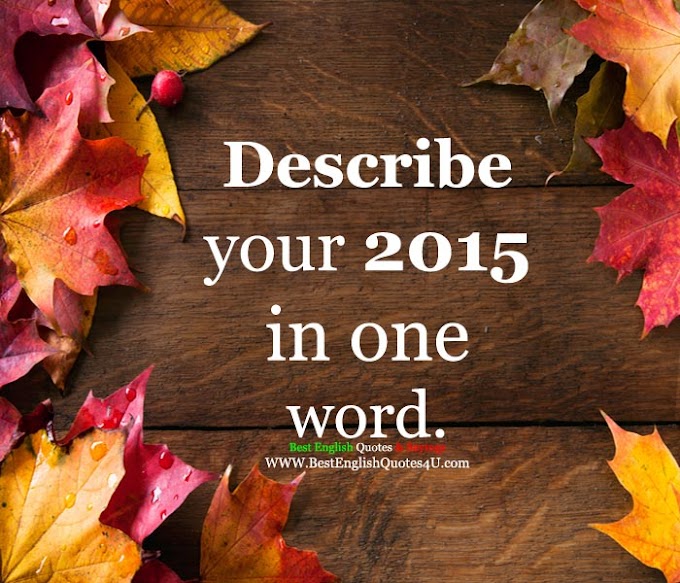 Describe your 2015 in one word.
