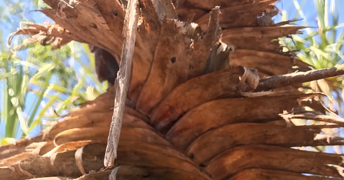 Stop Worshiping Ancient Logic Because Your Tech Anxiety Is Actually Cowardice