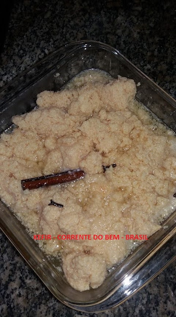 AMBROSIA DE KEFIR DE LEITE AMBROSIA DE KEFIR DE LEITE