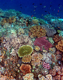 Humberto Vidal Bautista: diciembre 2012