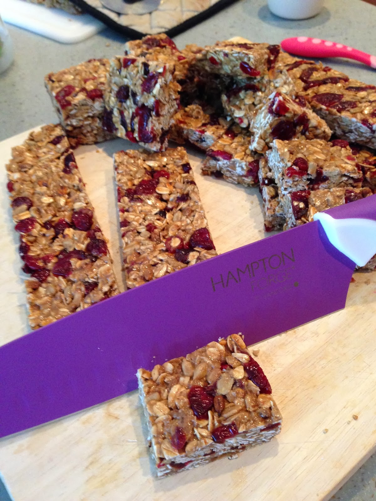 Wise Momma's Kitchen Lactation Granola Bars (Dairy free)