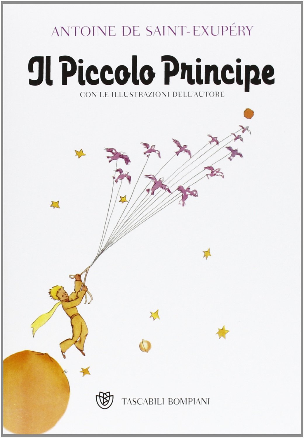 Libri di un ragazzo comune Il piccolo principe jpg (1041x1500)