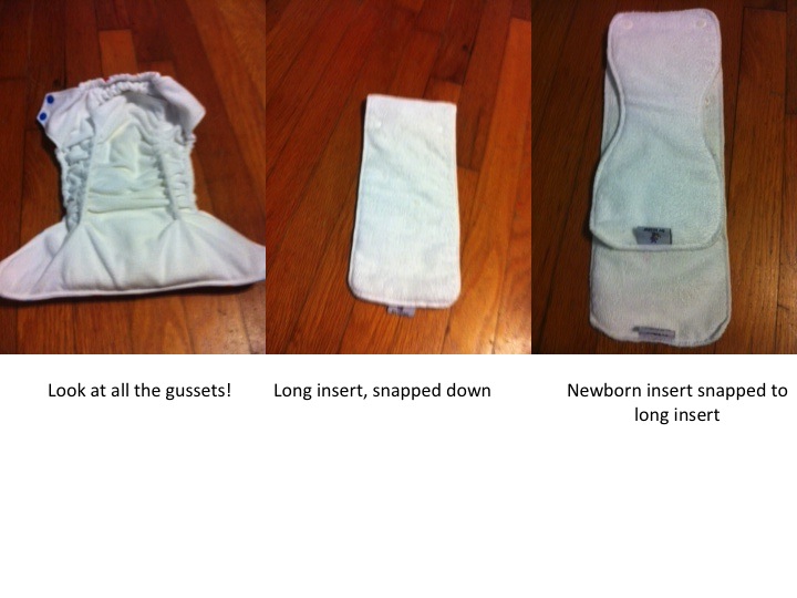 Jaxon at 2 weeks old (around 10 lbs)