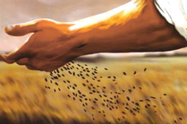 As You Sow So Shall You Reap Story For Kids As You Sow So Shall You Reap Story For Kids