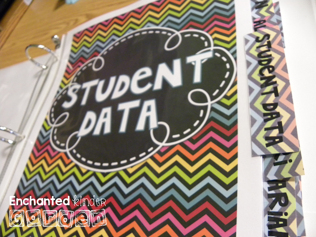 Tracking student data with binders