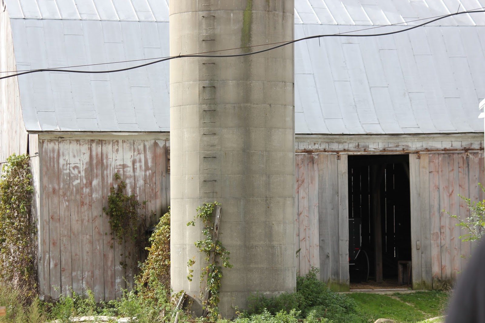 The Cabin Countess An Amish Sawmill