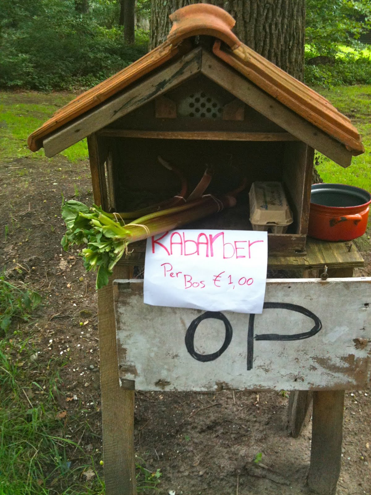 mammamsterdam Blueberry fields forever