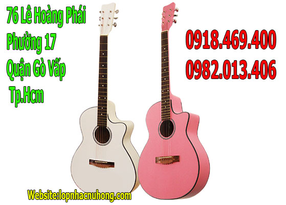 nhac-cu-minh-phat%2B%252889%2529.jpg