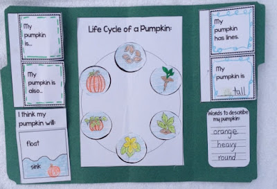 Kindergarteners, first and second graders will love this fun, interactive, and engaging pumpkin investigation resource as they study and examine a pumpkin. This is an engaging way to "show what you know" using a re-folded file folder. (K, 1st , 2nd grade, science, Halloween)