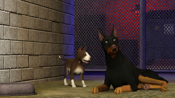 The Sims Pet Stories Free Download