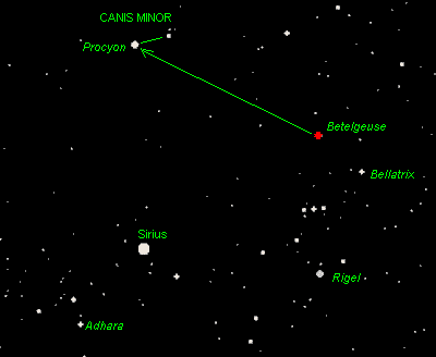 procyon star canis minor sirius constellation astronomy names binary temperature rigel sky betelgeuse orion gif magnitude system nearest stellar neighbours