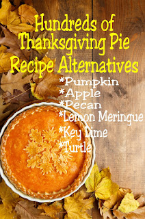 Enjoy your traditional Thanksgiving pie recipes in a yummy, alternative way. Get pumpkin pie, pecan pie, apple pie, and so many more pie recipes to sate your dessert appetite after the turkey has been put away.