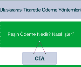 Pesin Odeme Nedir Nasil Isler Disticaret Biz Tr Ithalat Ihracat Gumruk