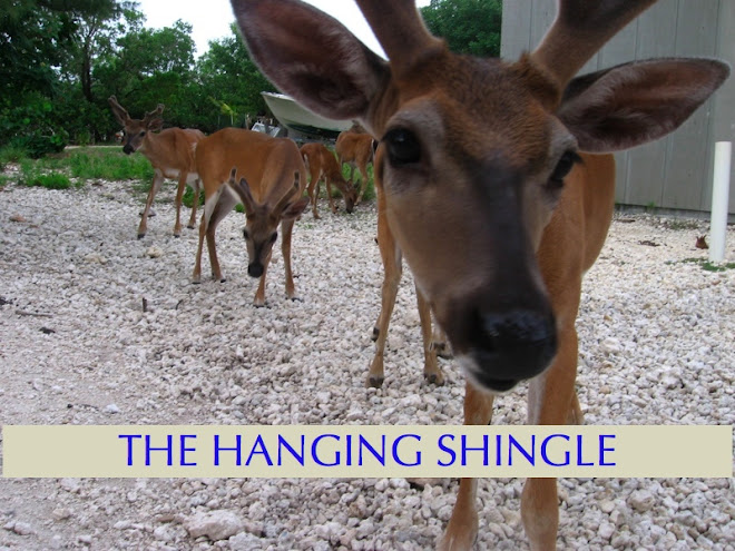 The Hanging Shingle