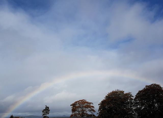 Rainbow over the nursery Rainbow over the nursery
