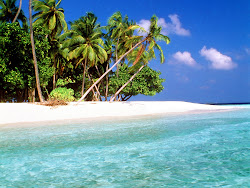 beach tropical island islands sea paradise beaches desktop palm maldive visits scenery backgrounds wallpapers sand places maldives coast pretty sunset
